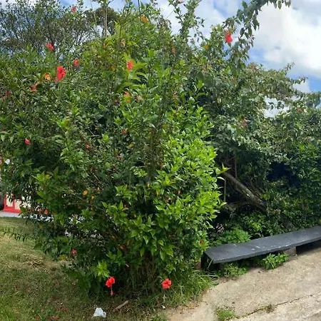 Casinha Colibri Villa Conceicao da Ibitipoca Exterior photo